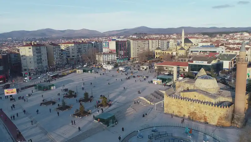 Kırşehir’de Keşfedilen Yeni Böcek Türü, Bilim Dünyasını Heyecanlandırdı!