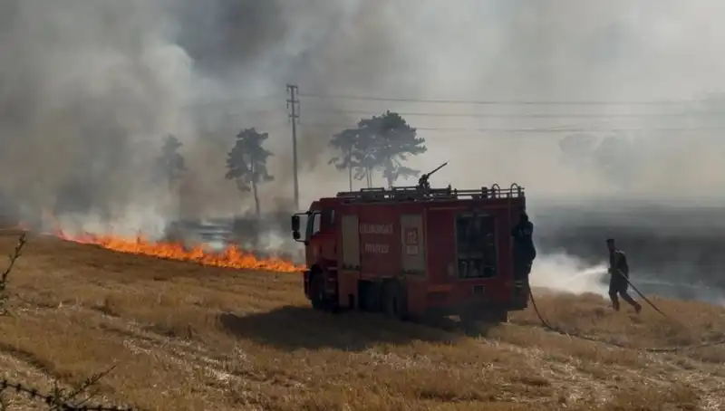 Kırklareli'nde Anız Yangını: Korku Dolu Anlar ve Sonrası