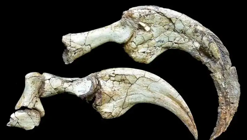 Gobi Çölü'nde Geçmişe Yolculuk: Yeni Dinozor Türü Keşfedildi!