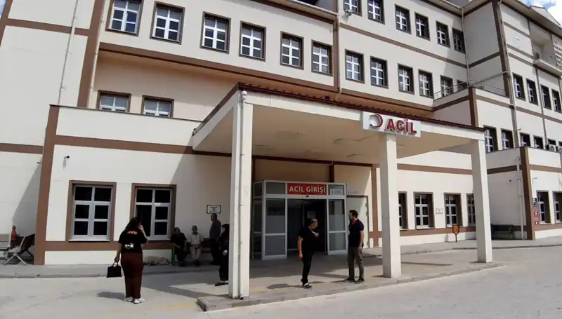 Bolu'da Ayı Avı Kararı: Doğanın Dengesini Tehdit Eden Bir Adım mı?