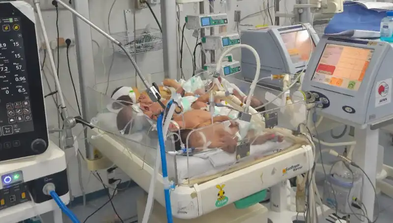 Gazzeli Doktorlar Çaresiz: Kuvöz Sıkıntısı ve Bebekler İçin Acil Önlemler
