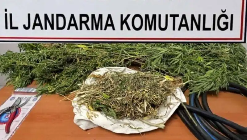 Niğde'de Dev Uyuşturucu Operasyonu: Yaklaşık 1 Kilogram Esrar Ele Geçirildi
