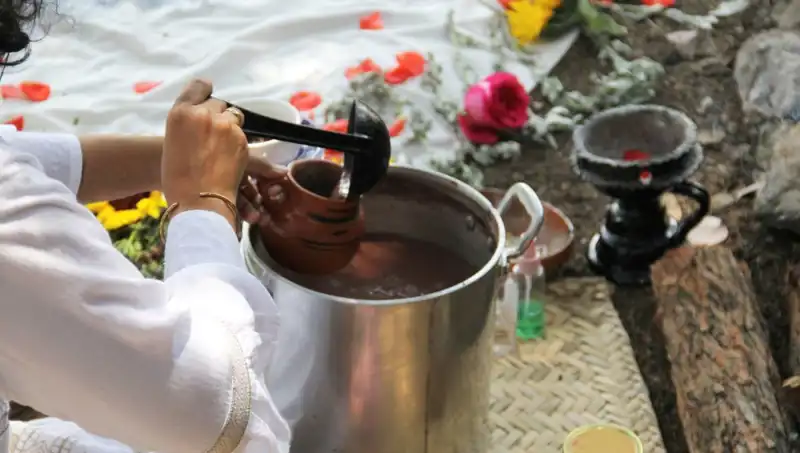 Ayahuasca: Gizemli Şifalı Çayın Yasağı ve Etkileri Üzerine Her Şey